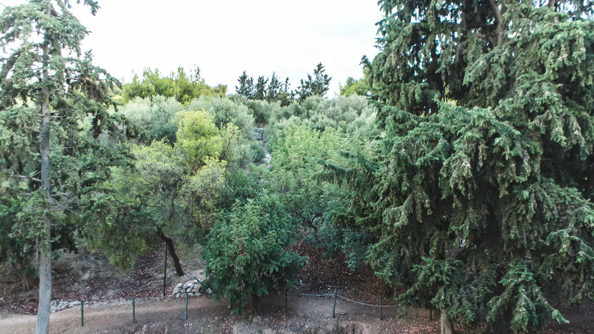 Acropolis Luxury Apartments Atina Dış mekan fotoğraf